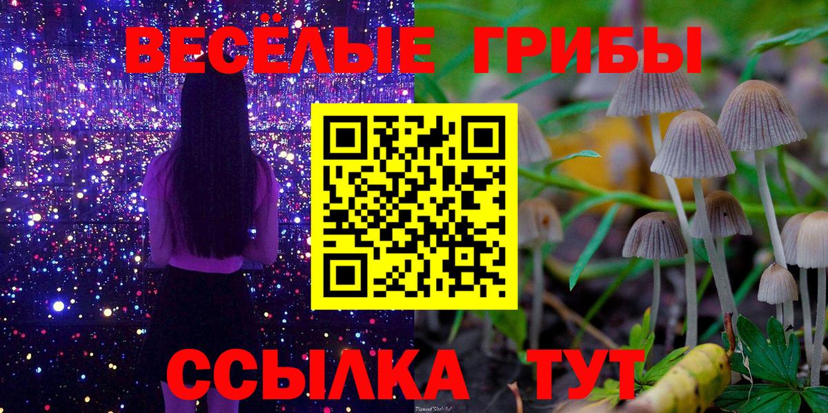 Искитим  Галлюциногенные грибы Psilocybe  Вход с VPN  Галлюциногенные грибы мухоморы 