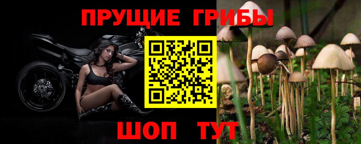 Псилоцибиновые грибы мухоморы Искитим